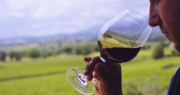 Bodegón macro en cámara lenta de vino tinto vertido en vidrio transparente aislado sobre fondo panorámico de viñedo (primer plano
) - Metraje, vídeo