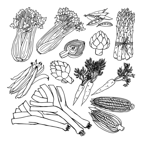 свіжі натуральні органічні овочі набір
 - Вектор, зображення