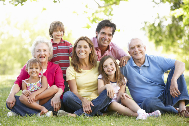 Multi-generation family in park - Photo, Image