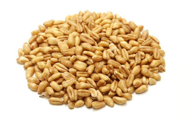 Whole wheat grains - Fotoğraf, Görsel