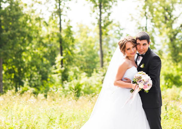 Молода весільна пара насолоджується романтичними моментами надворі на літньому лузі
 - Фото, зображення