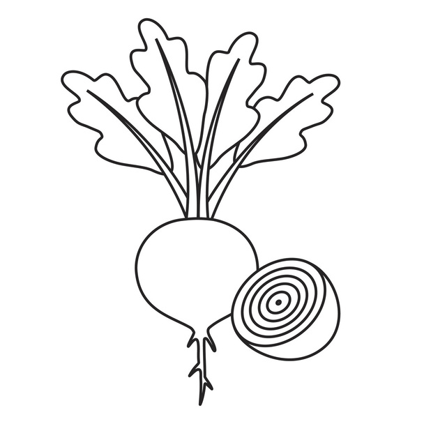 Linha ícone de beterraba e metade de beterraba
 - Vetor, Imagem