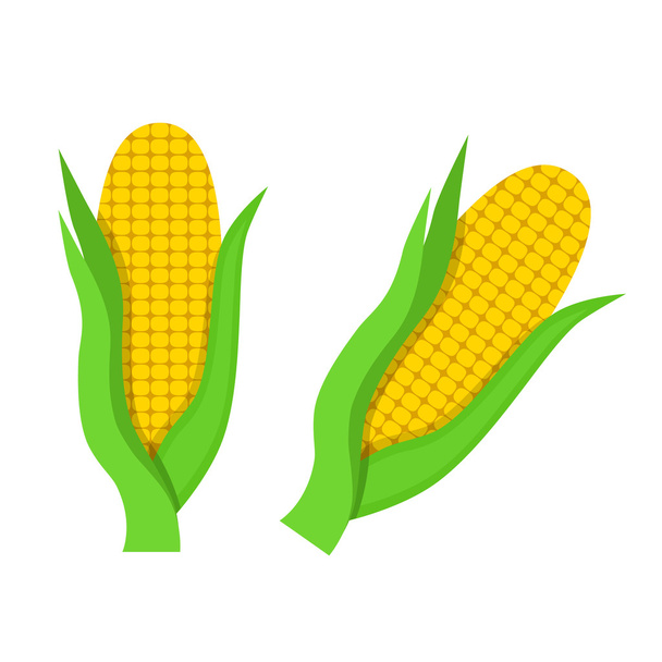 Плоский значок кукурудзи
 - Вектор, зображення