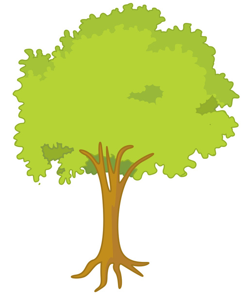 Дерево - Вектор,изображение