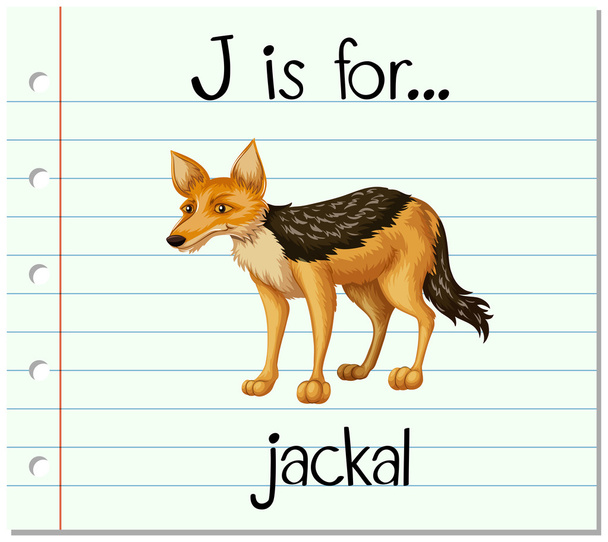 Flashcard letter J is voor jakhals - Vector, afbeelding