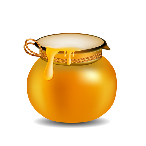 Honey Jar isolated on white - Вектор,изображение