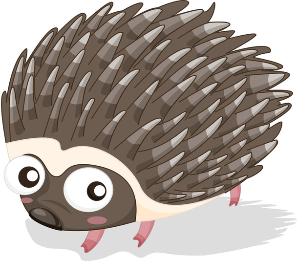porcupine - Vector, Image