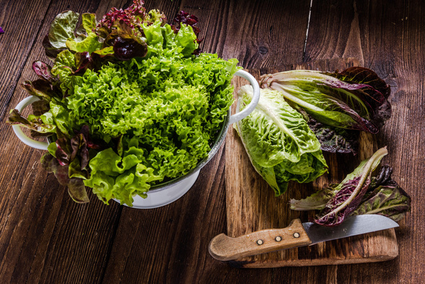 Vibrující čerstvý salát listy z organických jarní zahrada - Fotografie, Obrázek