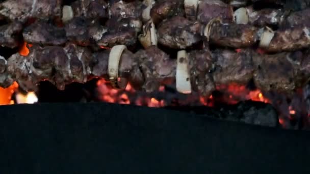carne e cogumelos assados nos espetos de fogo
 - Filmagem, Vídeo