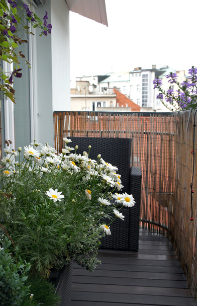 Beautiful house terrace with a lot of flowers - Foto, afbeelding