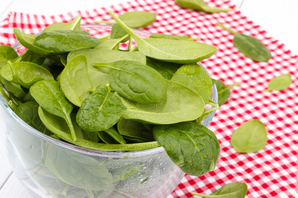 Spinach in a bawl - Photo, Image