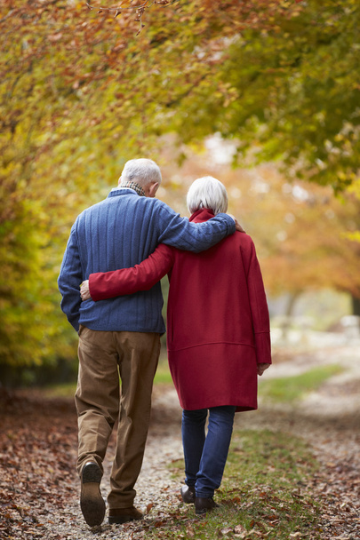 Senior Couple Walking in Park - Zdjęcie, obraz