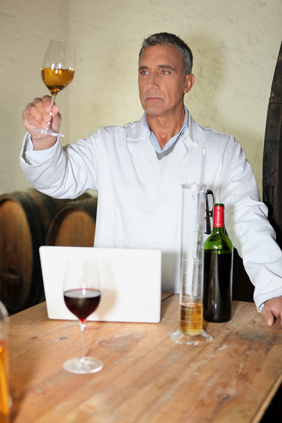 Winemaker analyzing wine - Foto, Bild