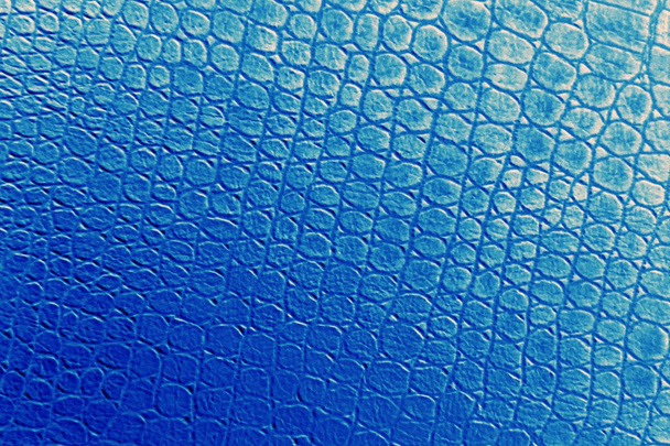 abstract crocodile leather  - Photo, Image