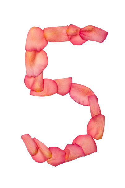 five number made of pink rose petal - Photo, Image