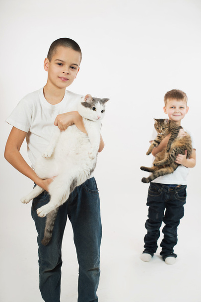 Boys with cats - Фото, изображение