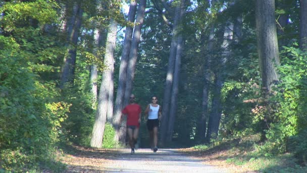 couple running up through forest  - Materiaali, video