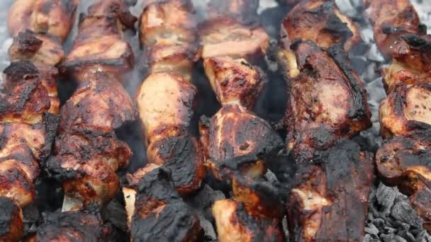 Vette varkensvlees aan een spies geroosterd op houtskool/nabij rookt - Video