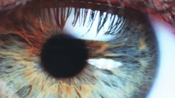 Close-up female eye blinking - Felvétel, videó