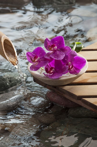 natural symbol with water for beauty spa and relaxation in feng shui environment - Photo, Image