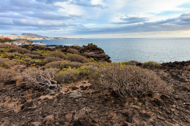 wunderschöne Landschaft Teneriffas - costa adeje - Foto, Bild