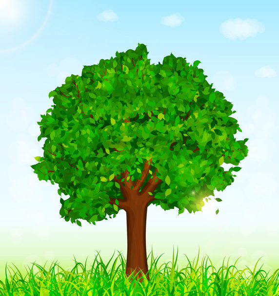 grüne Landschaft mit Baum- und Grashintergrund - Vektor, Bild