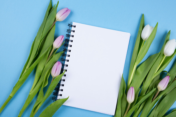 tulip  and blank notebook  - 写真・画像