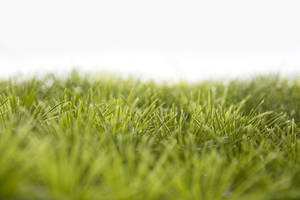 Green grass isolated  - Fotó, kép