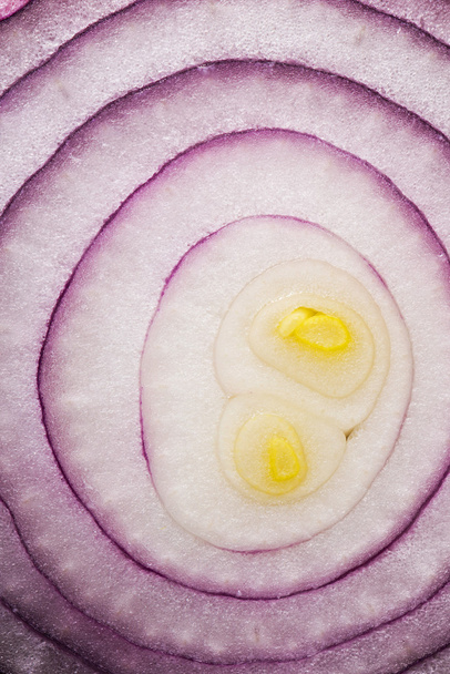 Red onion (background) - Fotografie, Obrázek
