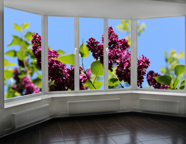 παράθυρα έχουν θέα στη ζούγκλα της Πασχαλιάς - Φωτογραφία, εικόνα