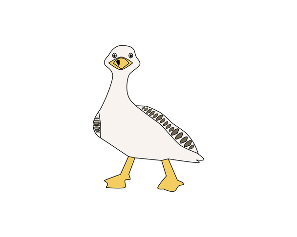 white duck on white background - Vector, Image