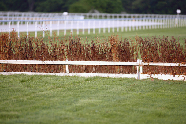 Horse racing training tracks with fence barriers - Photo, Image