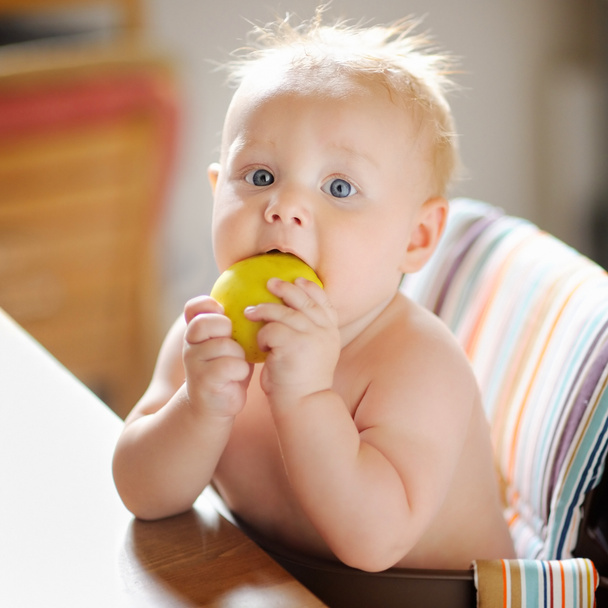 Baby boy eating apple - Photo, Image