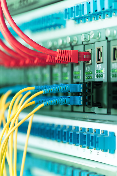 Сетевой коммутатор и кабели Ethernet, Концепция центра обработки данных. - Фото, изображение