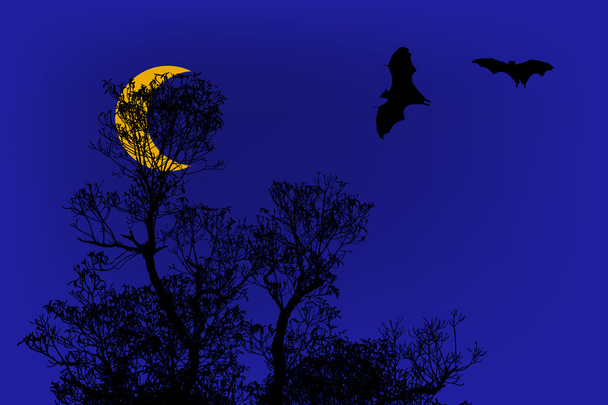 Bats silhouettes and beautiful branch for background usage under half moon time - Photo, Image