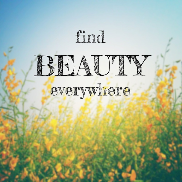 Citação inspiradora: Encontre beleza em todos os lugares
  - Foto, Imagem