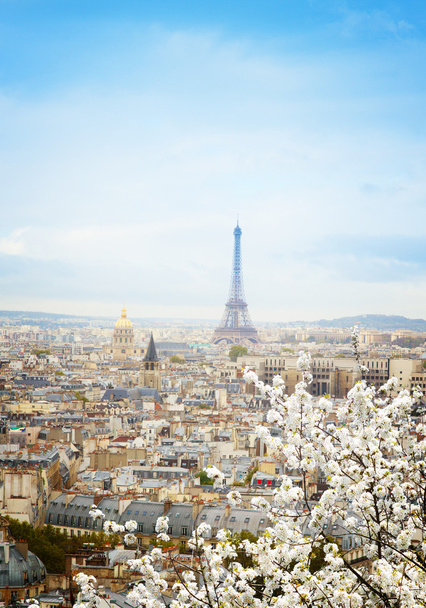 Skyline de París con torre eiffel
 - Foto, Imagen