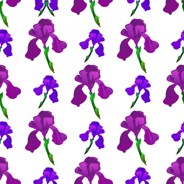 Seamless floral pattern with purple and pink irises - Vector, afbeelding