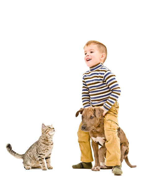 Cheerful kid playing with a puppy pitbull and cat - Foto, immagini