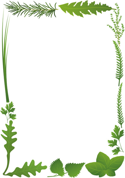 Cadre Herbes Vertical
 - Vecteur, image