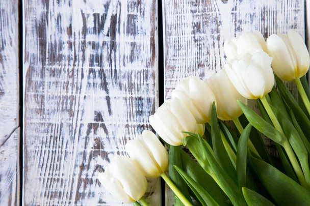 Свежие белые тюльпаны на светлом фоне. Селективный фокус
 - Фото, изображение