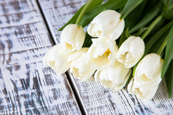 Čerstvé bílé tulipány na světlém pozadí. Selektivní zaměření - Fotografie, Obrázek