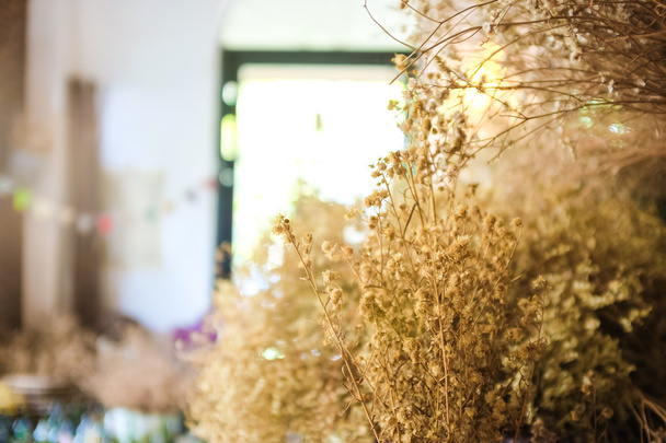 Сушені вінтажні коричневі квіти
 - Фото, зображення