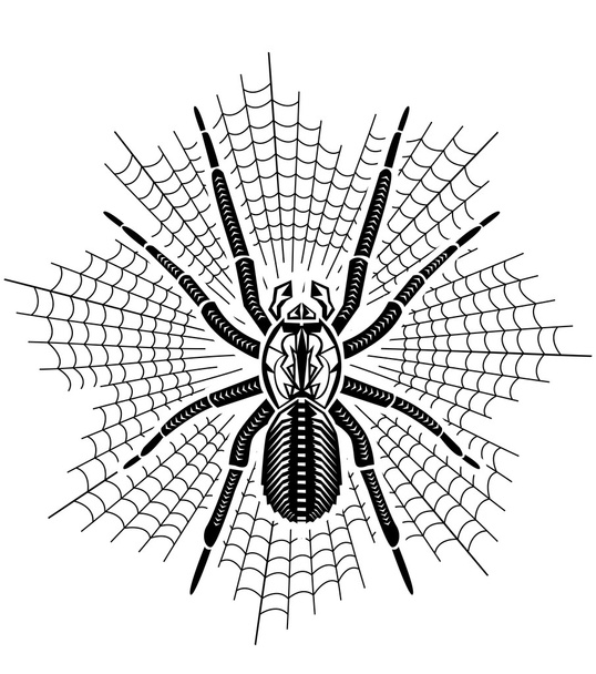 Большой тарантул в Интернете
 - Вектор,изображение