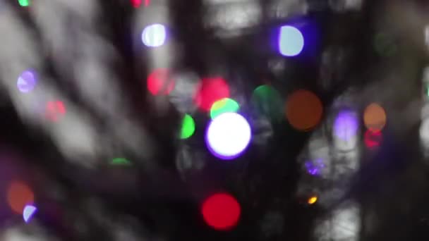 Fantasie van rode, blauwe en groene bubbels - Video