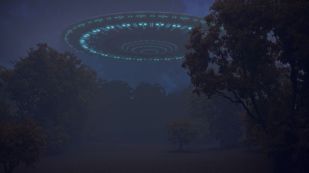 Ufo na floresta noturna
 - Foto, Imagem