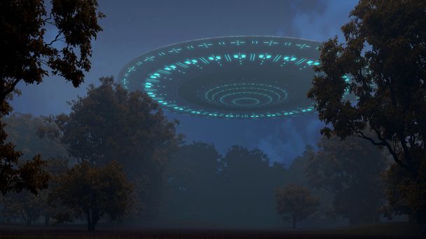 Ufo dans la forêt nocturne
 - Photo, image