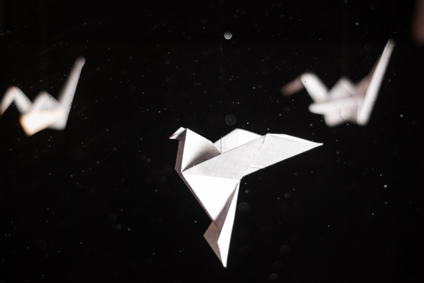 γερανό οριγκάμι σε σκούρο φόντο - Φωτογραφία, εικόνα