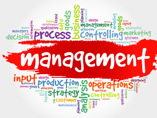 Management-Wortwolke - Vektor, Bild