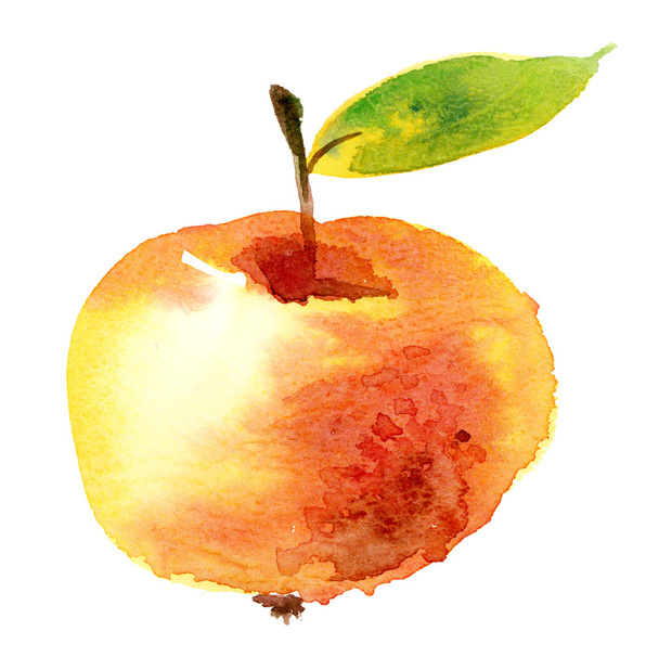 Apple akvarell illusztrációja - Fotó, kép